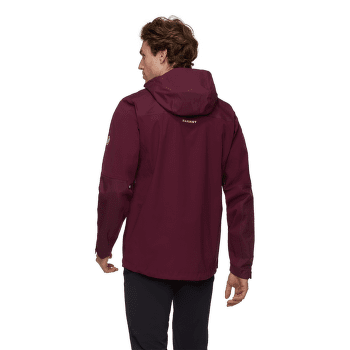 Veste Mammut Ducan Guide HS Hooded Jacket Men glacier blue