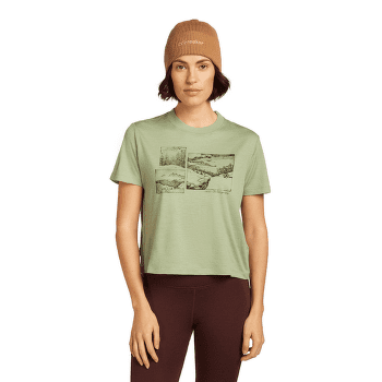 Casquettes Icebreaker Merino All Day Toque Beanie Trail
