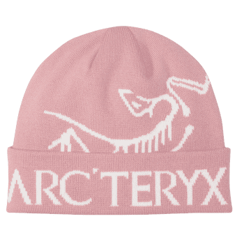 Casquettes Arcteryx Bird Word Toque Bliss / Arctic Silk