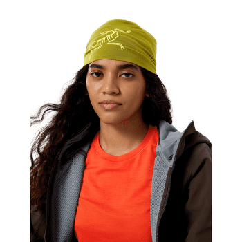 Casquettes Arcteryx Satoro Merino Toque Olive Moss / Euphoria
