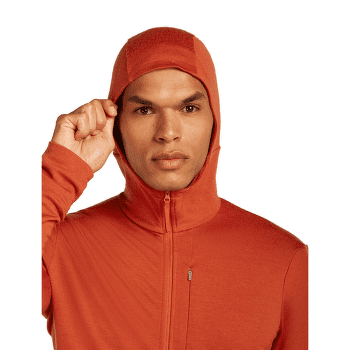 Sweat-shirt Icebreaker Merino 260 Quantum IV LS Zip Hoodie Men AGATE