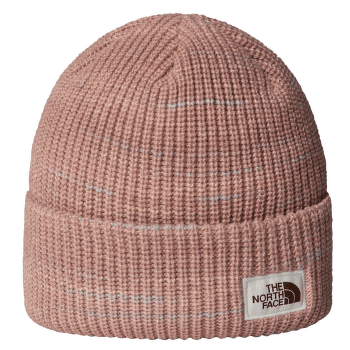Casquettes The North Face SALTY BAE LINED BEANIE BOU MARS DUST