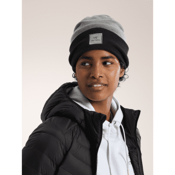 Casquettes Arcteryx Color Block Toque Void / Black