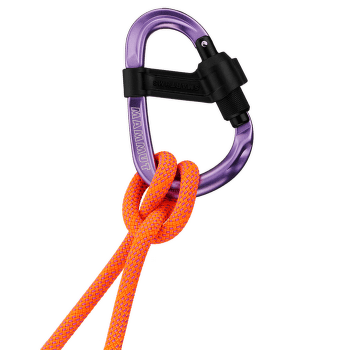 Mousqueton Mammut Smart HMS 2.0 Screwgate Pink 15274