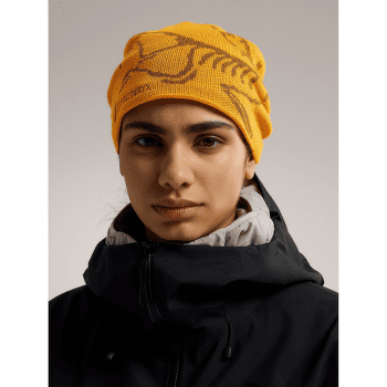 Casquettes Arcteryx Bird Head Toque Dynasty / Arc Silk