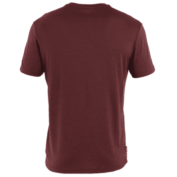 T-shirt a manches courtes Icebreaker Merino 150 Tech Lite SS Tee Polar Paddle Men PORT