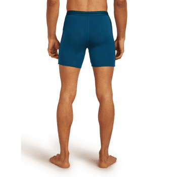 Caleçons Icebreaker Anatomica Long Boxers Men ATLANTIS