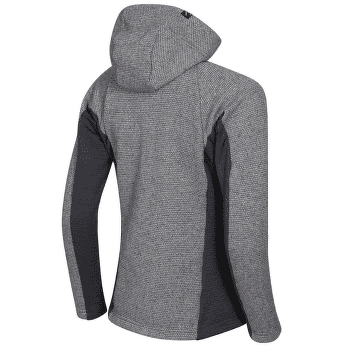 Sweat-shirt Direct Alpine Alaska Lady anthracite