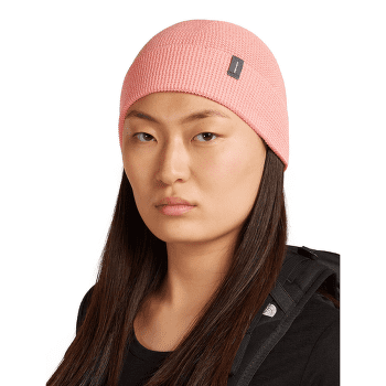Casquettes Icebreaker Merino Feadan Cuff Beanie Unisex BLACK