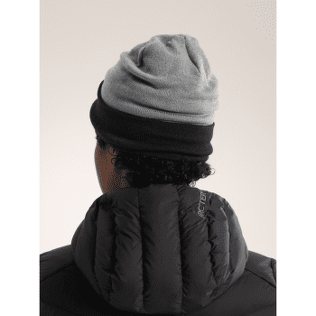 Casquettes Arcteryx Color Block Toque Void / Black