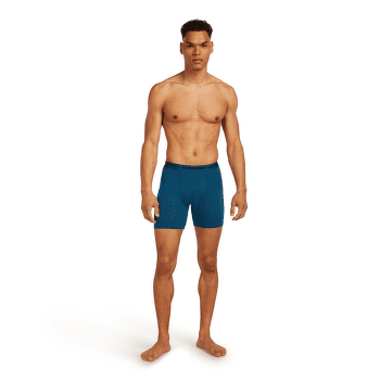 Caleçons Icebreaker Anatomica Long Boxers Men ATLANTIS