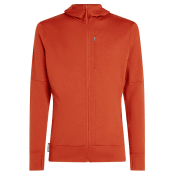 Sweat-shirt Icebreaker Merino 260 Quantum IV LS Zip Hoodie Men AGATE