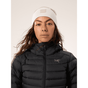 Casquettes Arcteryx Color Block Toque Void / Black