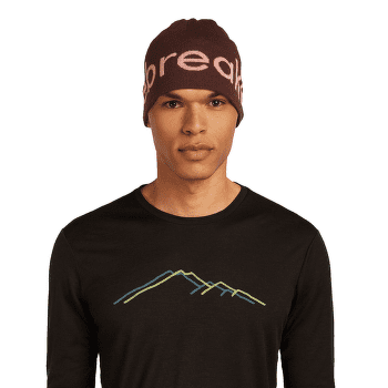 Casquettes Icebreaker Merino Icebreaker Beanie BLACK/ECRU HTHR