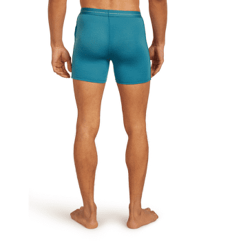 Caleçons Icebreaker Anatomica Boxer Men ATLANTIS