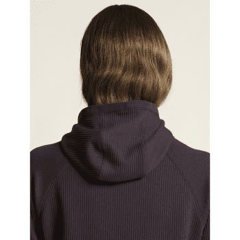 T-shirt a manches longues Craft Grid Hood Women DK PLUM