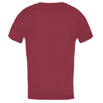 T-shirt a manches courtes Direct Alpine FLASH 5.0 palisander (mountain)