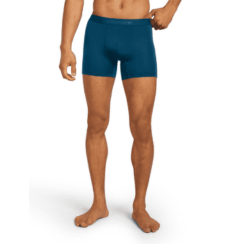 Caleçons Icebreaker Merino 125 Anatomica Cool-Lite Boxers Men ATLANTIS