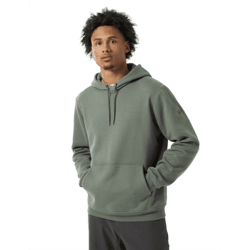 Sweat-shirt Arcteryx Emblem Fleece Hoody Men Forage