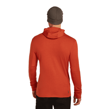 Sweat-shirt Icebreaker Merino 260 Quantum IV LS Zip Hoodie Men AGATE