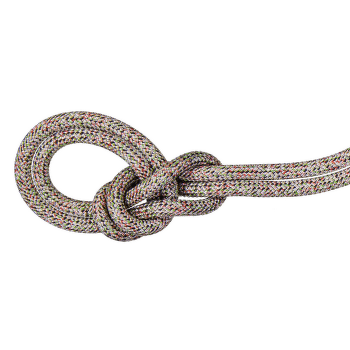 Corde Mammut 9.5 Crag We Care Classic Rope assorted 9000