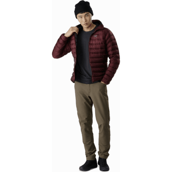 Veste Arcteryx Cerium LT Hoody Men (18013) Komorebi