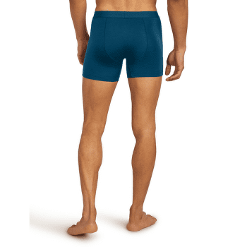 Caleçons Icebreaker Merino 125 Anatomica Cool-Lite Boxers Men ATLANTIS