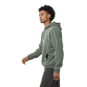 Sweat-shirt Arcteryx Emblem Fleece Hoody Men Forage
