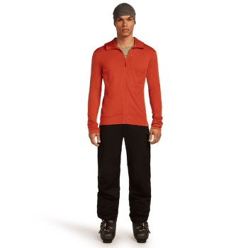 Sweat-shirt Icebreaker Merino 260 Quantum IV LS Zip Hoodie Men AGATE