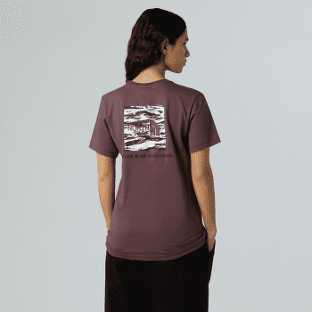 T-shirt a manches courtes The North Face BOX NSE EDGE OF LIGHT INFILL RELAXED S Women ES9 TAWNY QUARTZ/TNF BLACK EDGE OF LIGHT PRINT