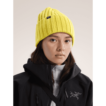 Casquettes Arcteryx Chunky Ribbed Toque Solitude Heather