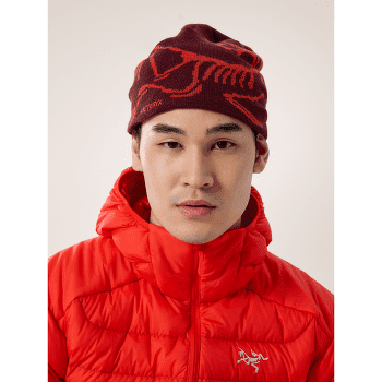 Casquettes Arcteryx Bird Head Toque Nightscape / Glacial