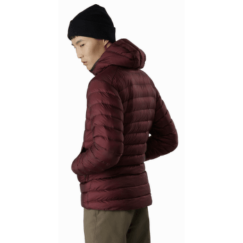 Veste Arcteryx Cerium LT Hoody Men (18013) Komorebi