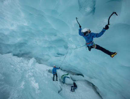 Comment choisir les chats ?
