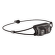 Lampe frontale Petzl Bindi Black
