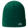 Casquettes The North Face NORM BEANIE EVERGREEN