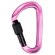 Mousqueton Mammut Classic HMS Screwgate Pink 15274