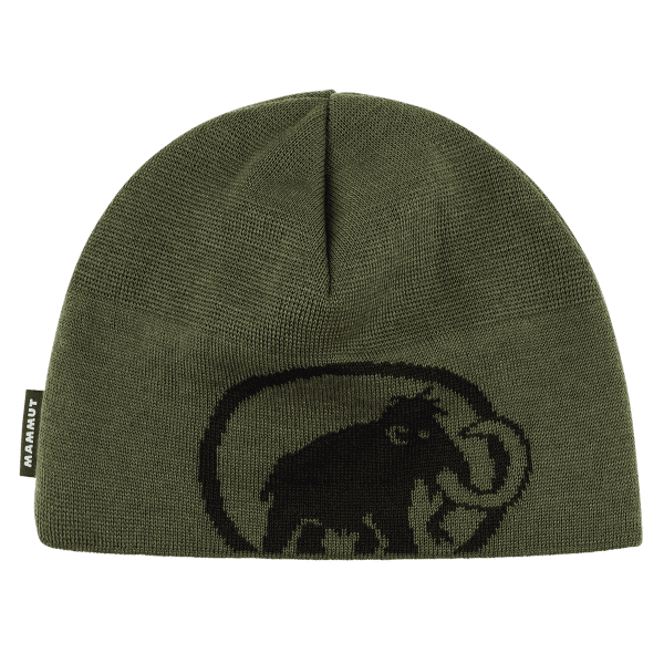 Casquettes Mammut Tweak Beanie (1191-01352) 40294 dark marsh-black