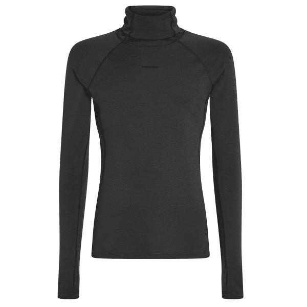 Sweat-shirt Icebreaker 300 MerinoFine™ Polar LS Roll Neck Men Black