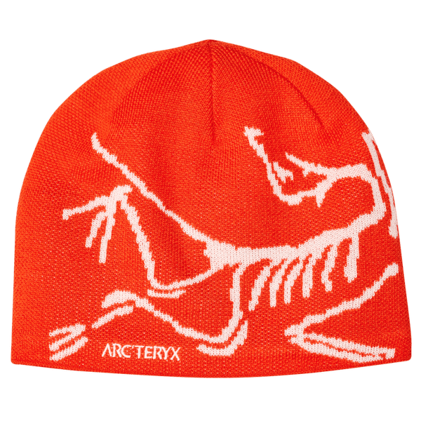 Casquettes Arcteryx Bird Head Toque Dynasty / Arc Silk