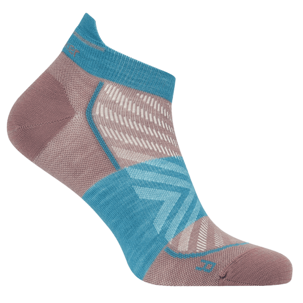 Chaussettes Icebreaker Merino Run+Ultralight Micro Women SUMMIT/TOPAZ