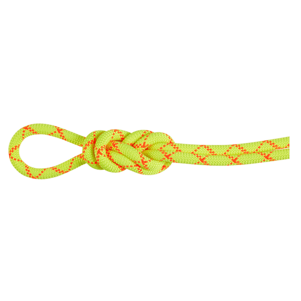 Corde Mammut 9.5 Alpine Core Protect Dry Rope 1287 halo-vibrant orange