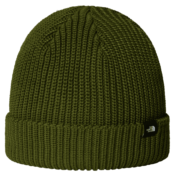 Casquettes The North Face TNF Fisherman Beanie BRI WOODLAND GREEN