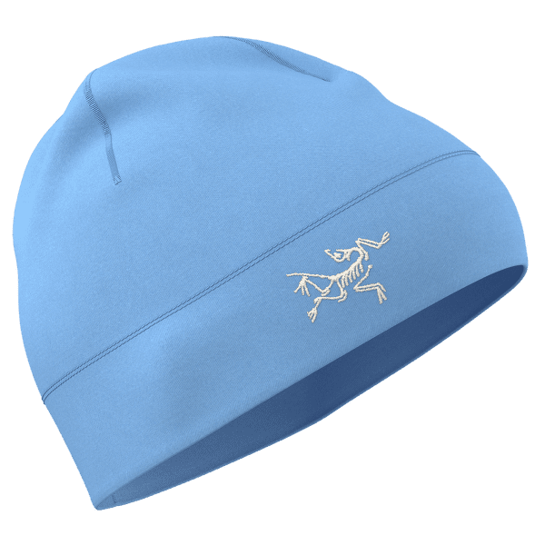 Casquettes Arcteryx Rho Toque Glacial