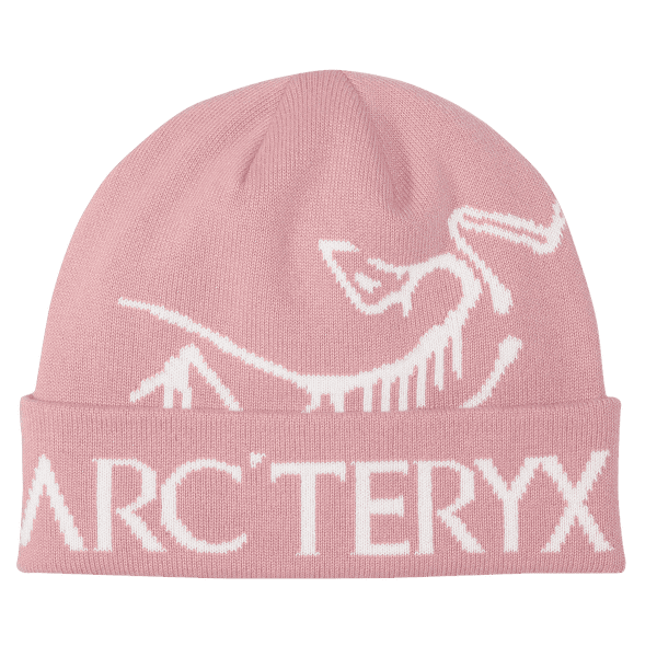 Casquettes Arcteryx Bird Word Toque Bliss / Arctic Silk