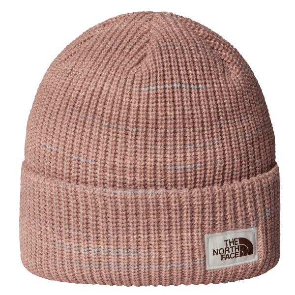 Casquettes The North Face SALTY BAE LINED BEANIE BOU MARS DUST
