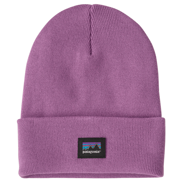 Casquettes Patagonia Everyday Beanie Brisk Purple