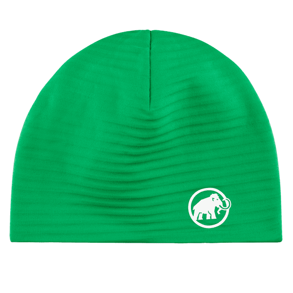 Casquettes Mammut Taiss Light Beanie 40306 pinea