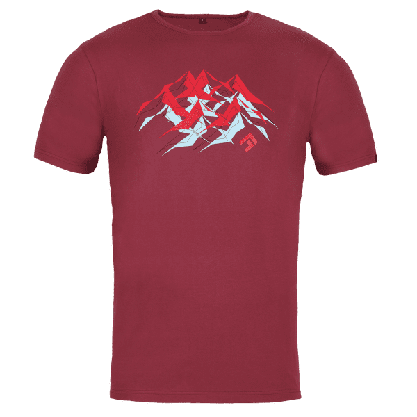 T-shirt a manches courtes Direct Alpine FLASH 5.0 palisander (mountain)