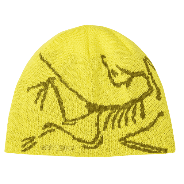 Casquettes Arcteryx Bird Head Toque Euphoria / Olive Moss